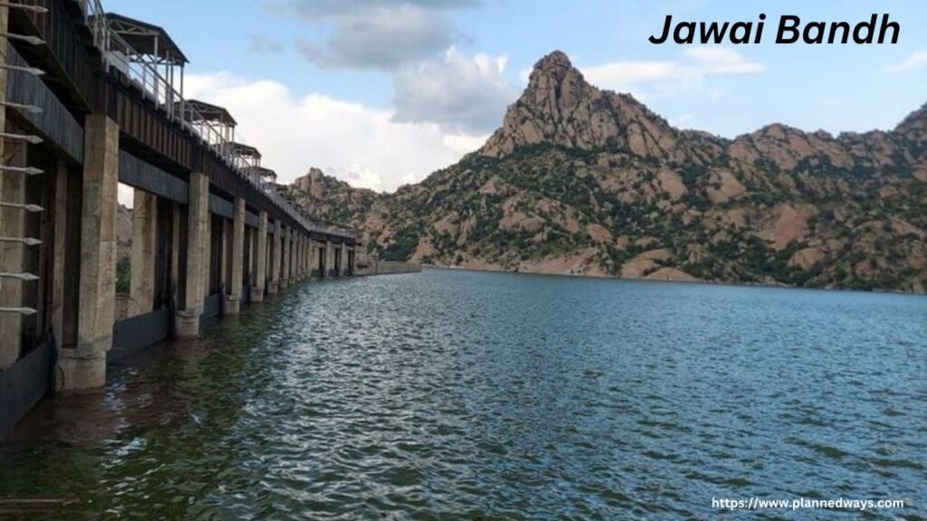 Jawai Bandh