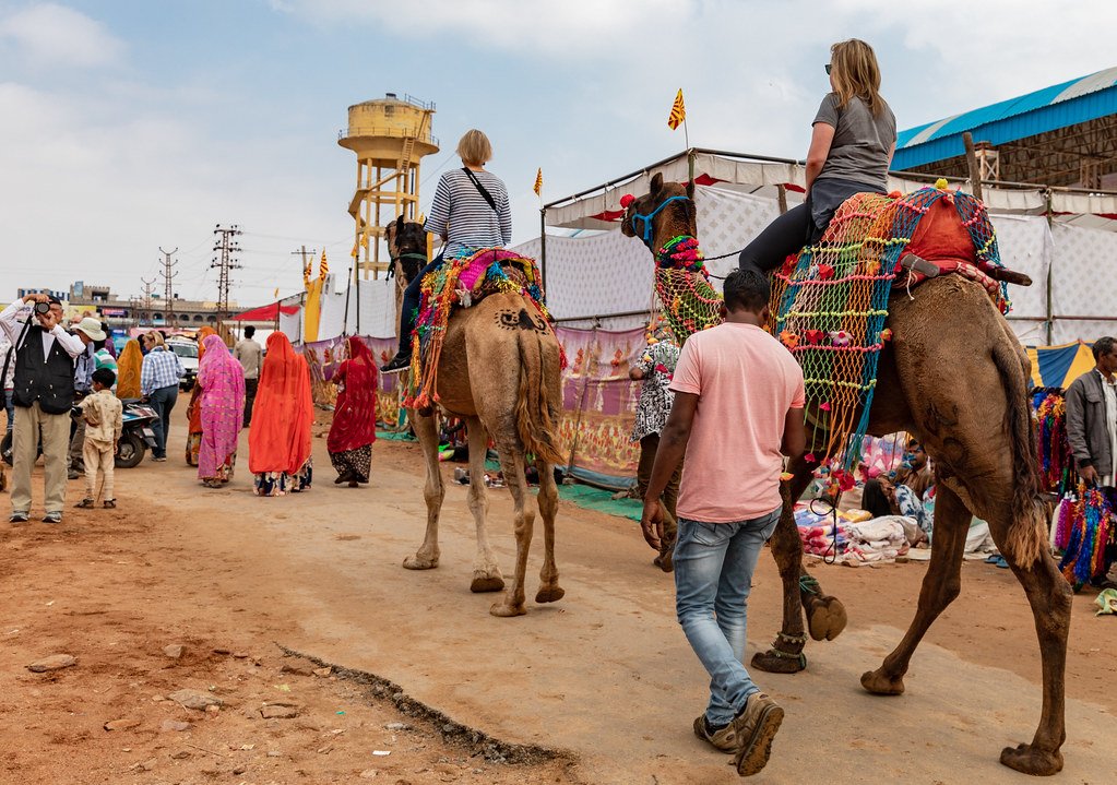 Pushkar Camel Safari Pushkar