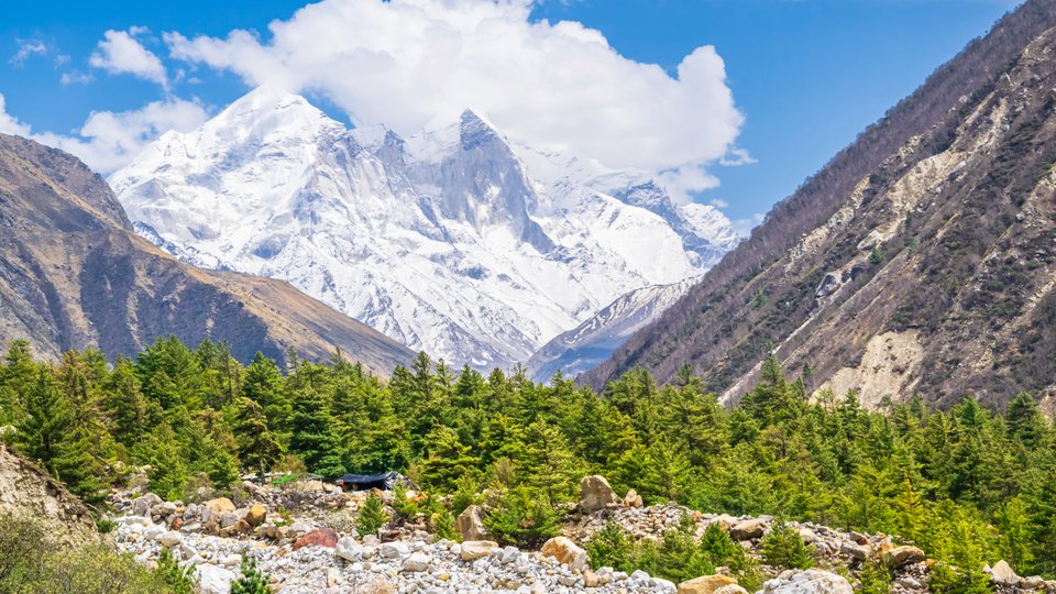 Gangotri National Park Uttarkashi