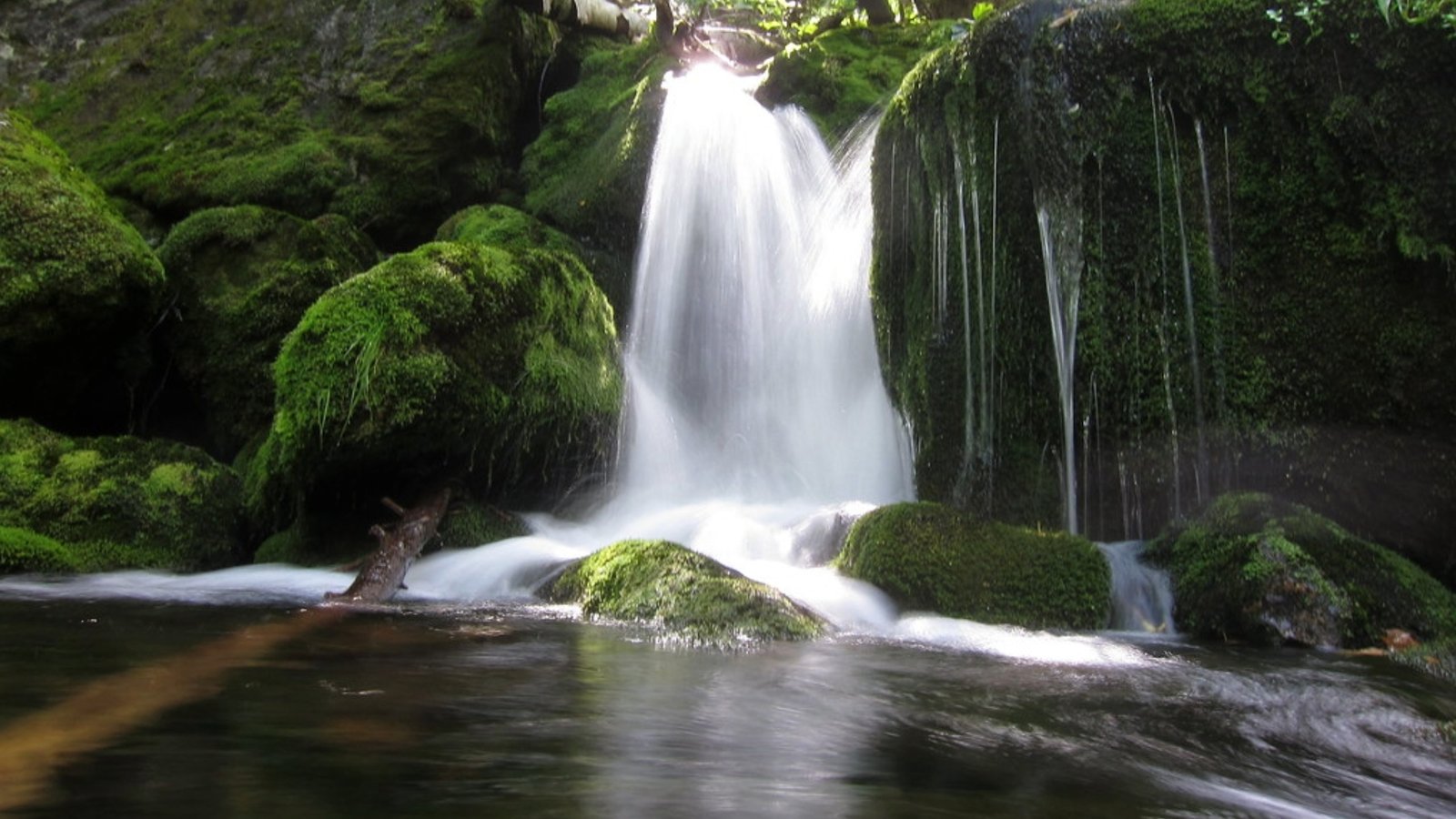 Mossy Falls