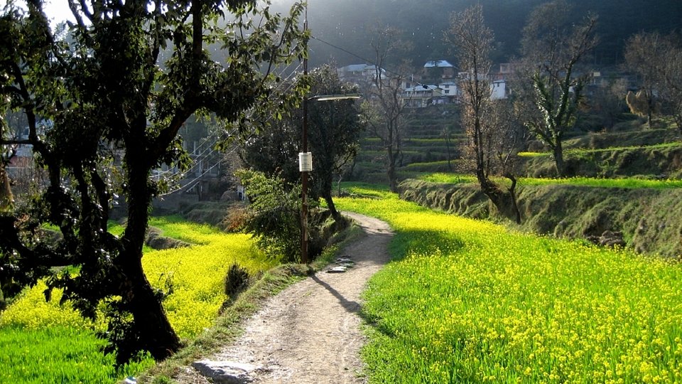  Dharamkot