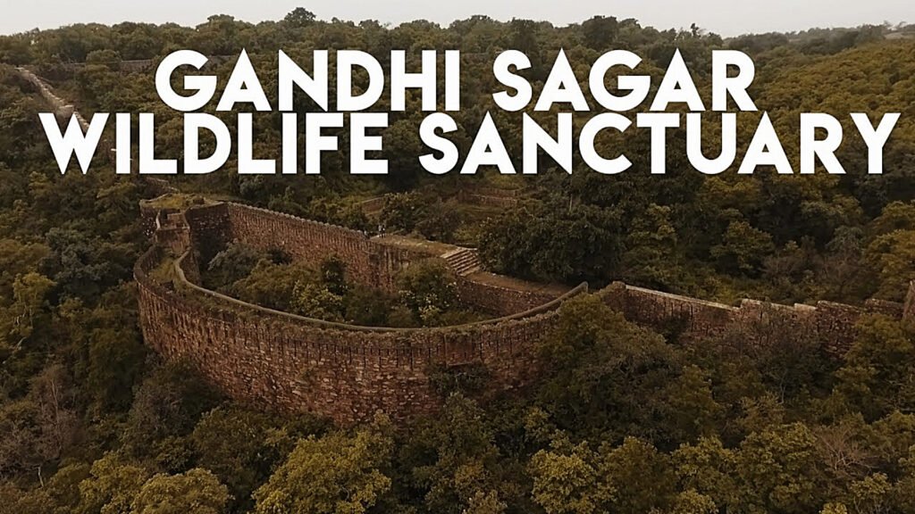Gandhi Sagar Sanctuary
