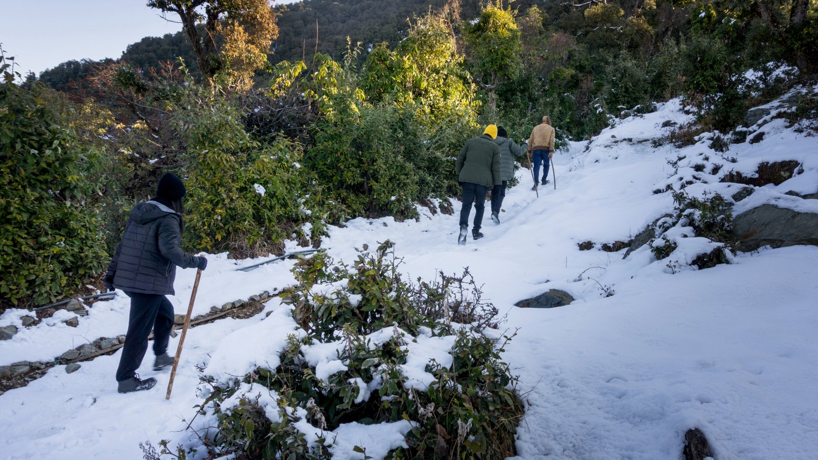 Nag Tibba Trek