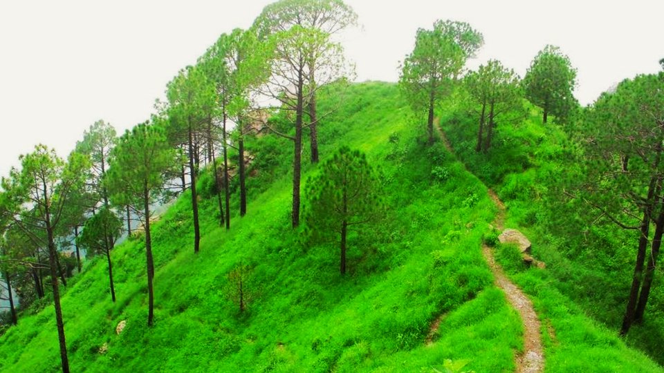 Gilbert Trail Kasauli