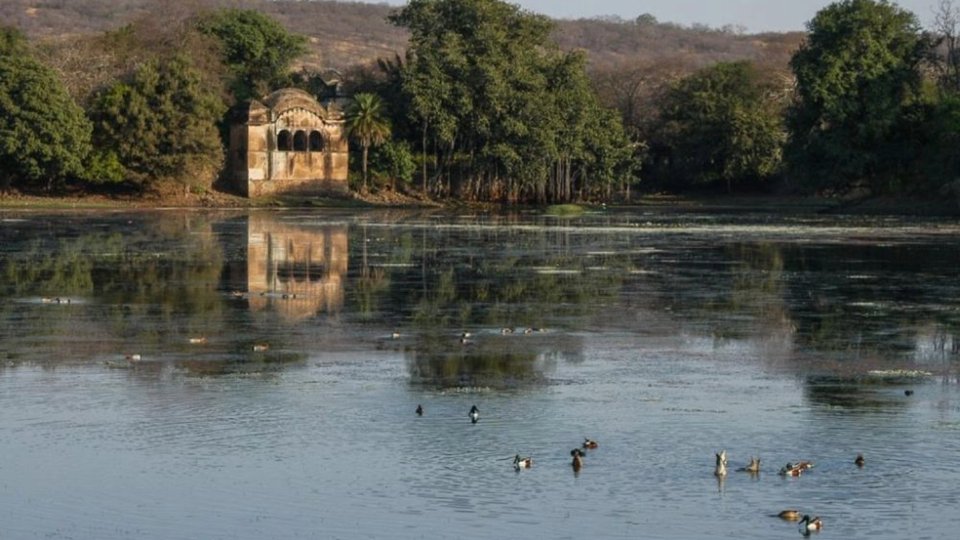 Malik Talao Sawai Madhopur