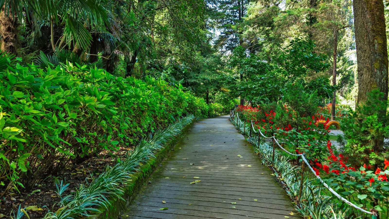 Company Garden