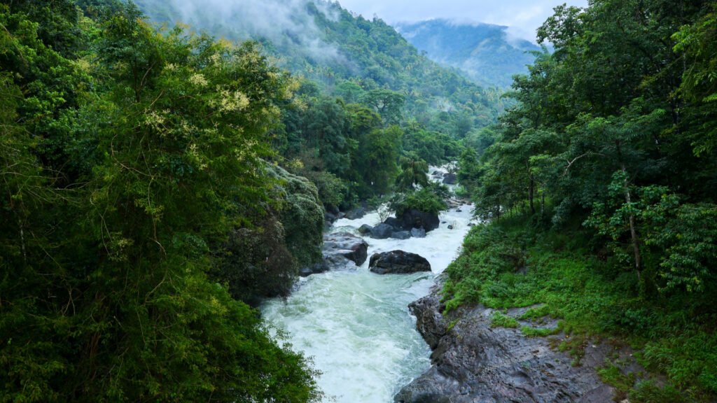 Kozhippara Waterfalls