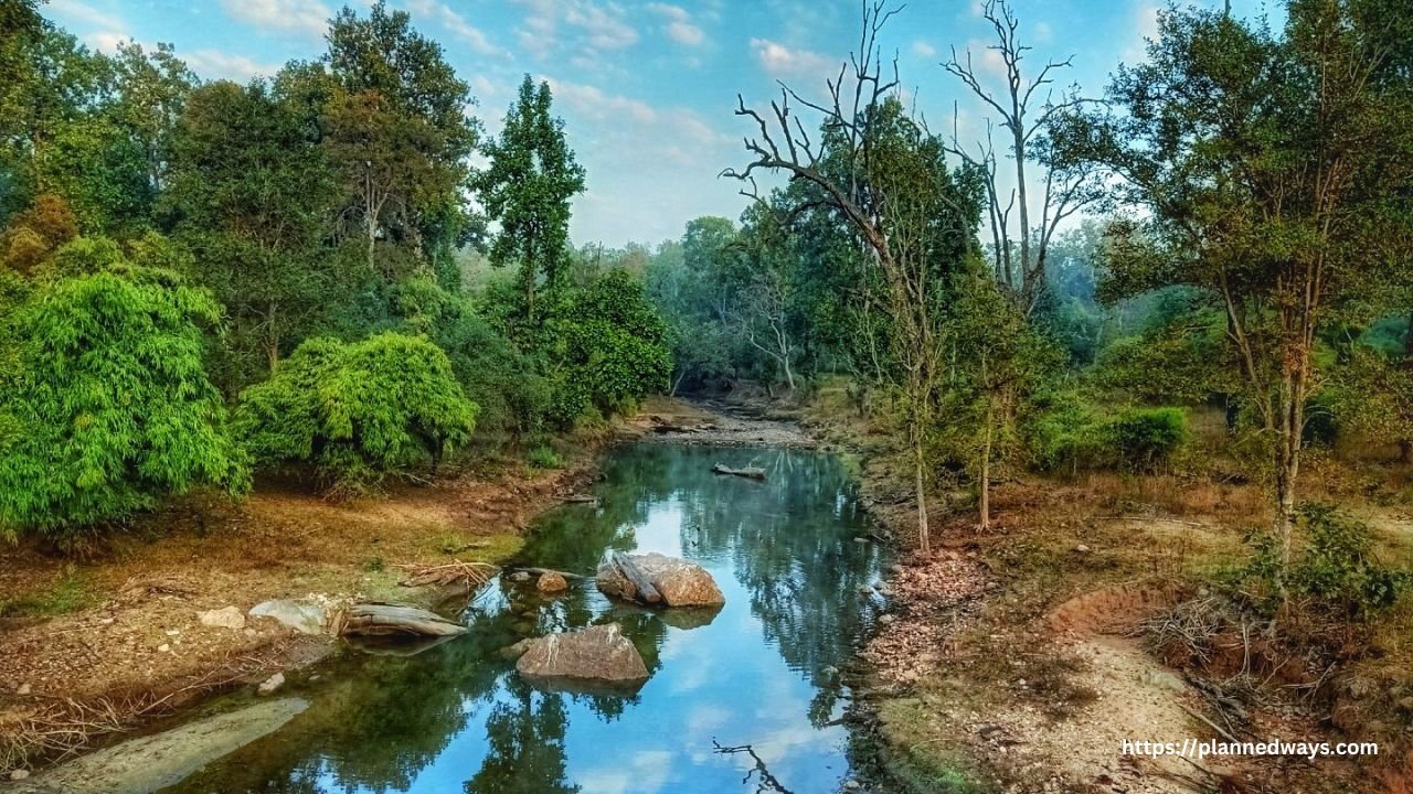 Kanha national park