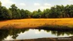 Bandhavgarh National Park